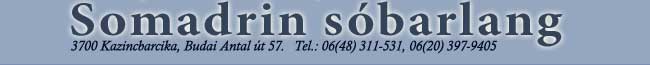 Somadrin s�barlang, 3700 Kazincbarcika, Budai Antal �t 57. Tel: 06(48) 311-531, 06(20) 397-9405